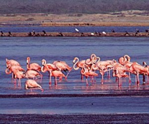 Los Colorados.  Source: recorramoscolombia.blogspot.com - Photo by Daniel Felipe & Lina Marcela